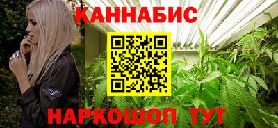гидропоника Сланцы