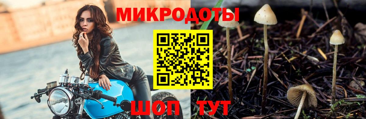 Новочебоксарск  Псилоцибиновые грибы Magic Shrooms  Вход с VPN 
